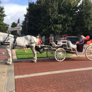 Horse Carriage (Private Booking)